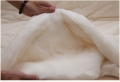 Inserção de edredão de algodão natural