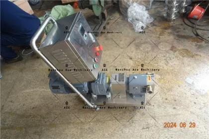 Factory Price Ace Stainless Steel Rotary Lobe Oil Pump by Marzocchi Gear from Professional Manufacturer