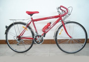 fashion racing bike for sale 2FBV-FG5
