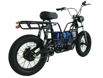 trekking rad runner chainless electric bicycle