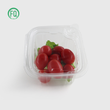 12oz Plastic Clear Takeaway Container for Fruit Salad and Cake