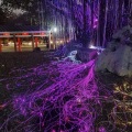 Kit di illuminazione a fibra ottica a led per alberi