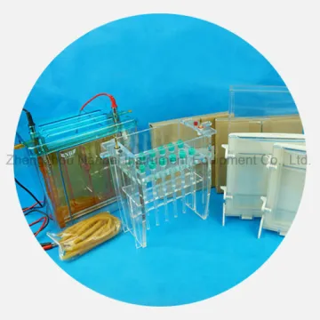 2D Protein Electrophoresis Analytical Instruments