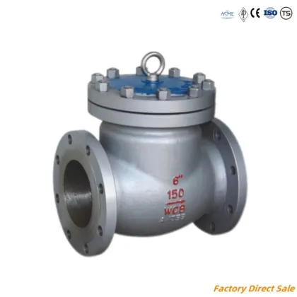 High Pressure Check Valve for Petrochemical Plants: Sizes 6inch PN150, PN300, PN600