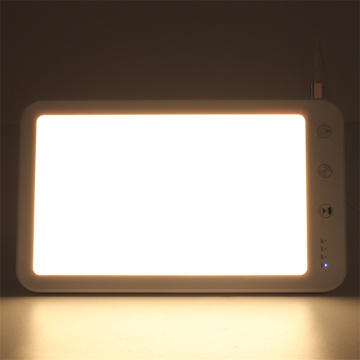 Suron Daylight Therapy Lamp 및 Mood Light