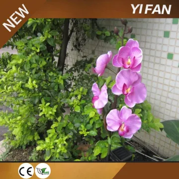 Led Solar Courtyard Decorative Flower Light