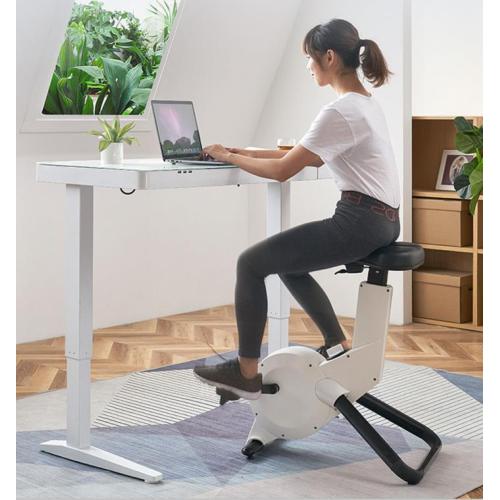 China Gym Fitdesk Bike Home Office Bicycle Desk Supplier