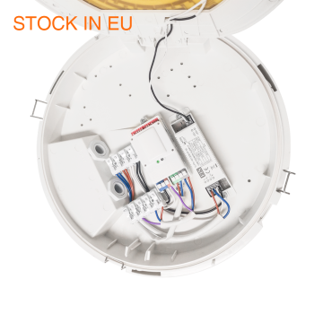 Holux 2CCT Motion Sensor Waterproof Outdoor Ceiling Lights