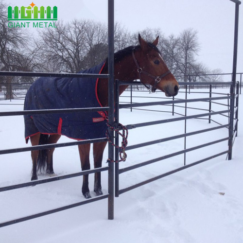 Warm te koop gelaste gegalvaniseerde paardenafrastering