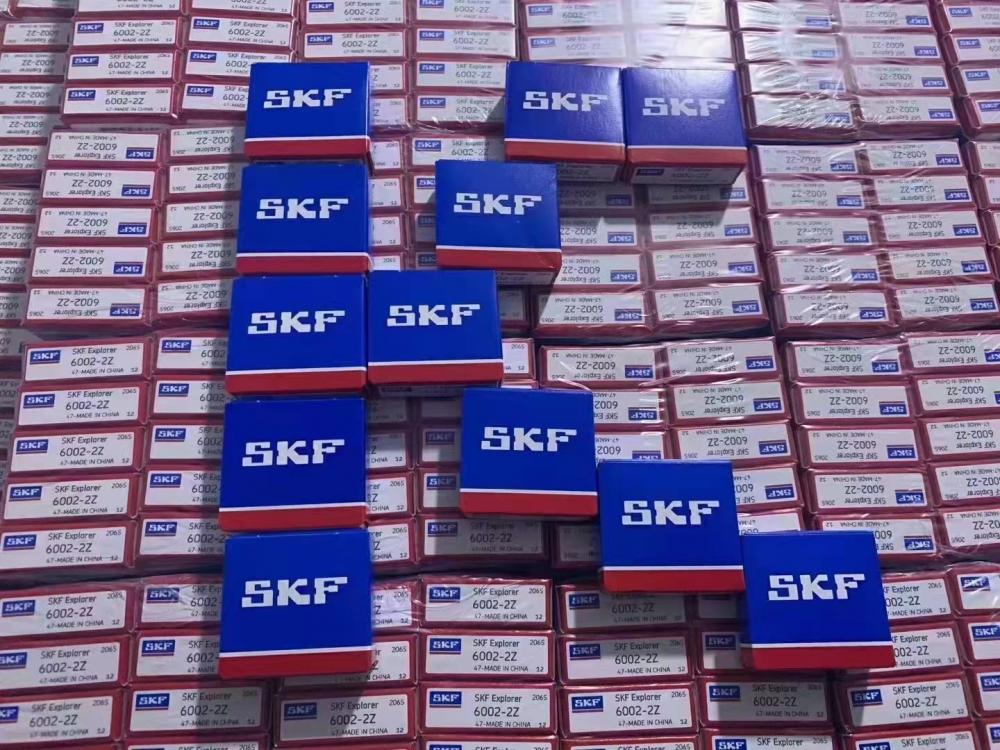 Skf Bearing