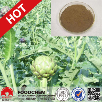 Best Quality Artichoke Plant Extracts