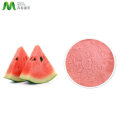 USA Warehouse Supply Watermelon Fruit Juice Powder