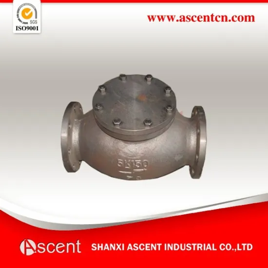 DN 150 Check Valve