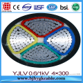 1KV Copper Conductor XLPE Insulated PVC Sheathed Power Cable