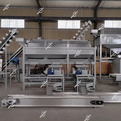 Hot Sale Automatic Nut Processing Plant Equipment: Breaking, Shelling & Cracking Machines for Hazelnuts, Pecans & Almonds