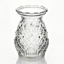Glass Vase for Modern Home Decor
