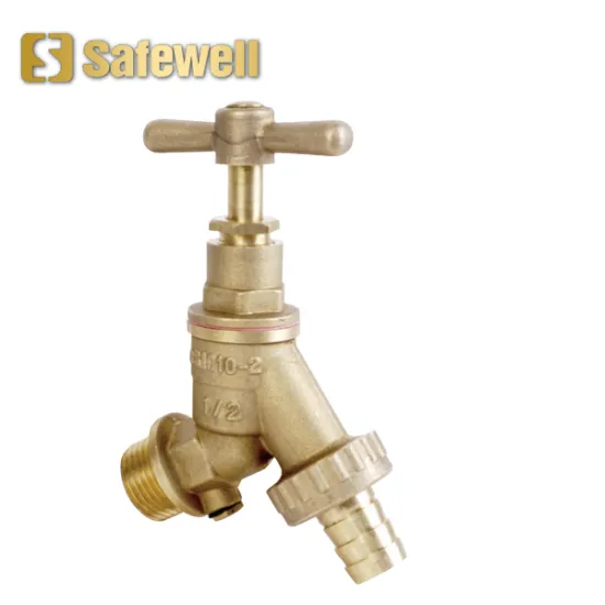 Hose Union Bib Tap C W Double Check Valve
