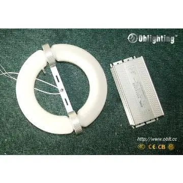 lvd induction lamp/induction lamp