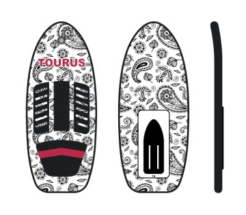 Customized Foilboard Surf Wings and Motorized Surfboards for New Designs