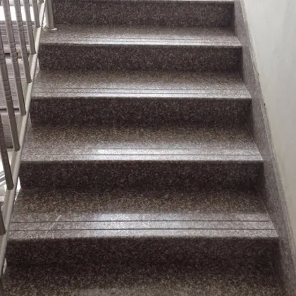 Anti Slip Granite Stairs G664 with DropFaced Edge