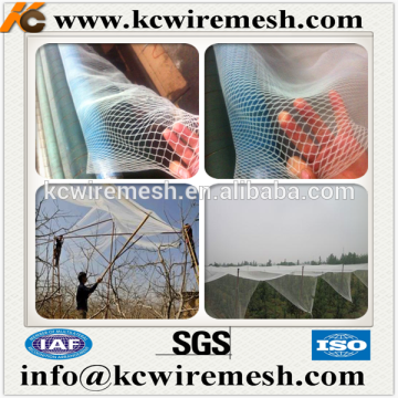 Hot sales!!! vineyard bird protection net with UV.