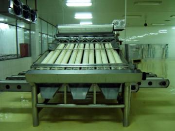 Shrimp Sorter