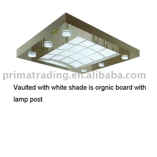 Elevator Ceiling PSM-456