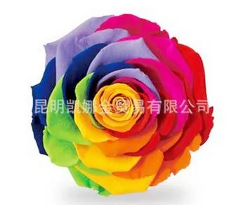Best Gift: Forever Preserved Colorful Rose Bouquet