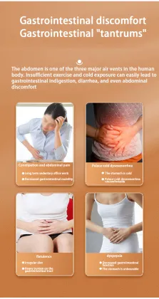 Intelligent Vibration Abdominal Weight Loss and Tropical Abdominal Waist Massager by Pinggao Electric