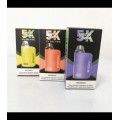 Breze Stiik Box Pro 5000 Puffs Itália