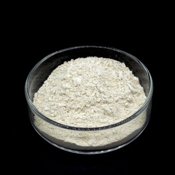 Dicalcium Phospahte 18% Minerals Dicalcium Phosphate 18 Powder Granular Manufactory