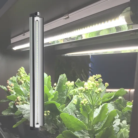 High Efficiency T5 HO LED 3ft 15W Strip Light for Indoor Lettuce Growing