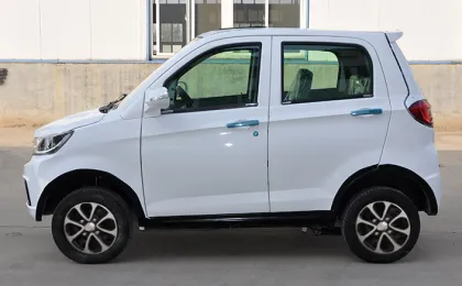 Mini Gasoline Car 250CC