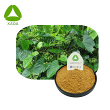 Humifuse Euphorbia Herb Extract Powder