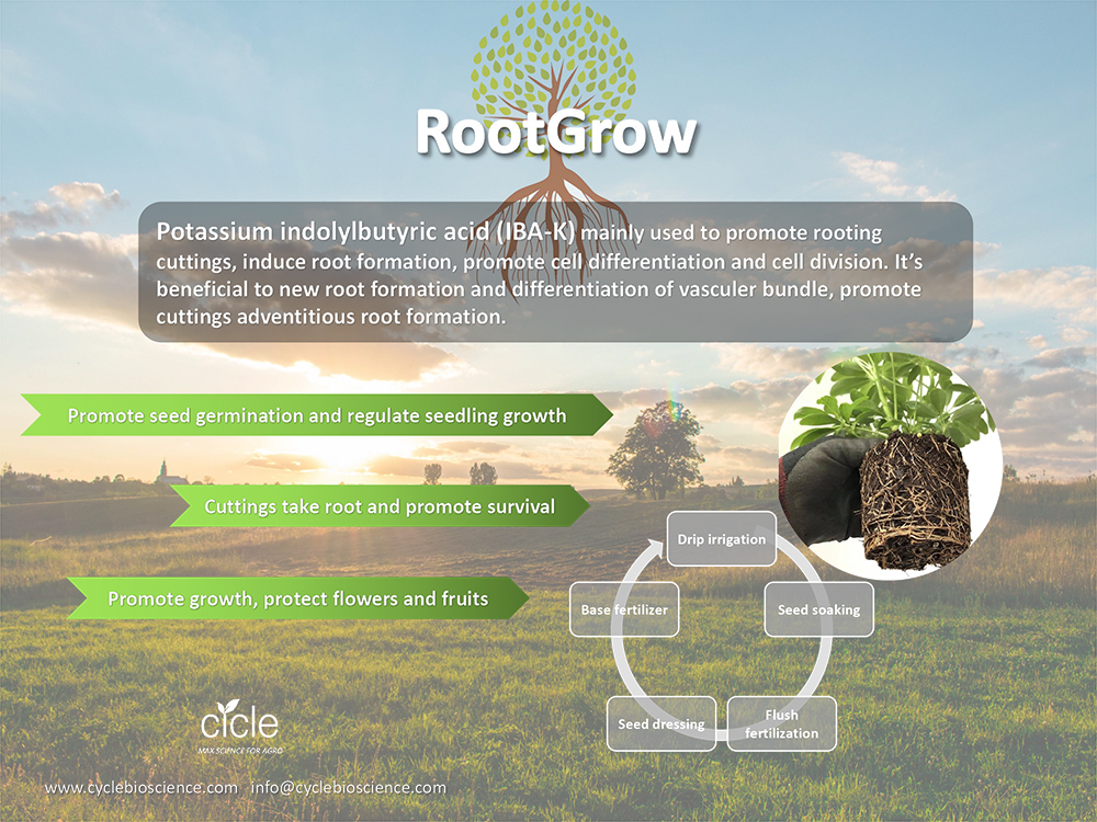 RootGrow