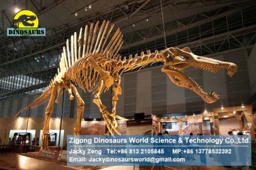 Spinosaurus Skeleton