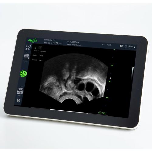 ultrasound machine veterinary use