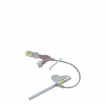 High Quality Sterilized Intravenous Indwelling Needle