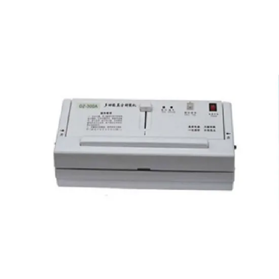 DZ300-A Household Vacuum Packaging Machine