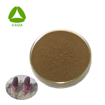 Herba Cynomorii Extract 98% Suo Yang Alkaloids Powder