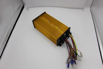 India Cargo & Last-Mile Delivery E-Trike Controller