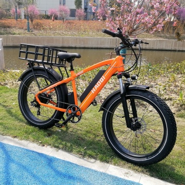 48V 20.3Ah Battery 750W Electric Mountain Bike with Brushless TS Rear Motor: Powerful Beach Ebike
