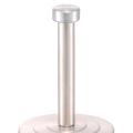 Metalic Voilet Toilet Brush with Holder