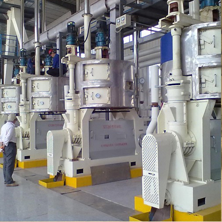 Sunflower Oil Expeller