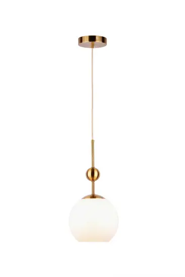 Pendant Light Hot Sale Modern