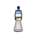 Smart AI Interactive Company Robots