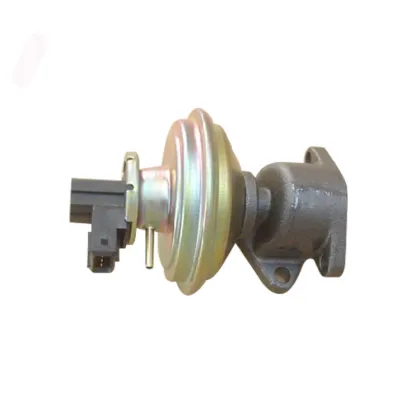 Haval Car EGR Valve 1207100-E06-B1