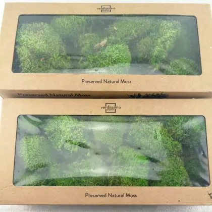 Wild Forest Lichen Moss for House Decoration