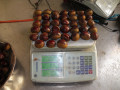 Dandong chestnut segar untuk dijual