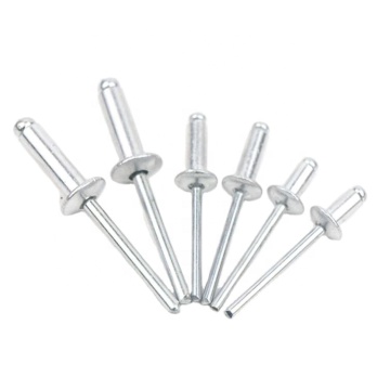 Stainless Steel Large Flange Blind Rivets with Open End Threaded Rivets